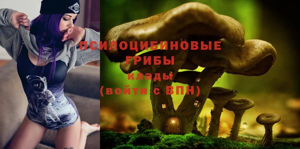 спиды Дмитров